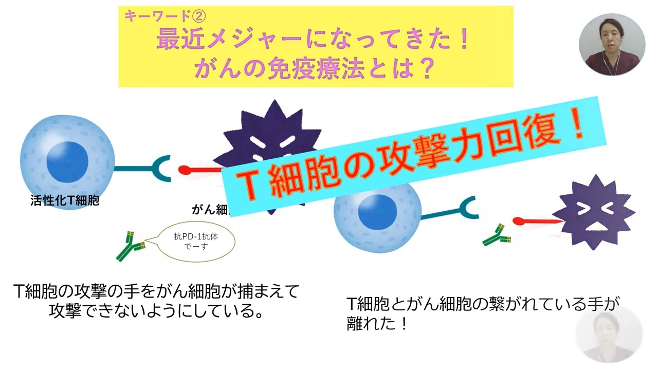 化学療法①　5分でわかる化学療法看護