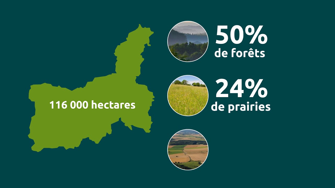 Le Parc naturel r&eacute;gional des Ardennes expliqu&eacute; en 3 minutes !