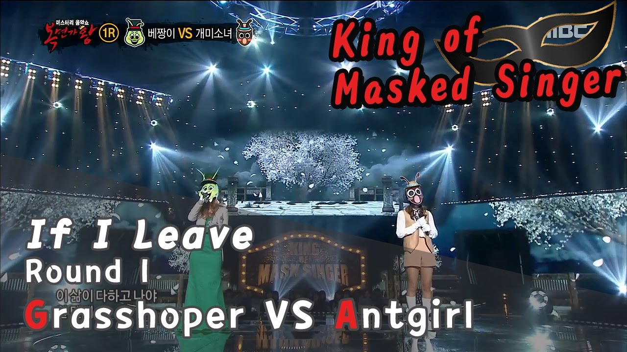 [King of masked singer] 복면가왕 - 'grasshopper' vs 'Antgirl' 1round - If I leave 20170122