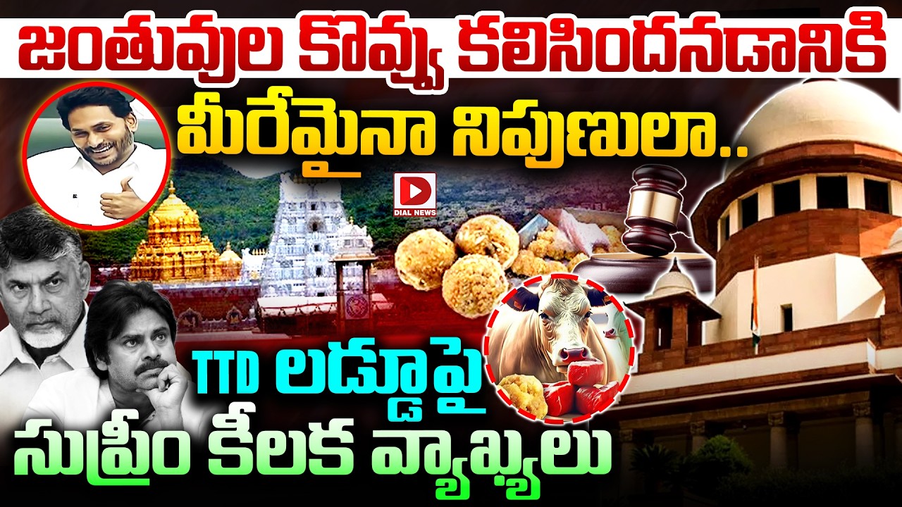 LIVE: జంతువుల కొవ్వు కలిసిందనడానికి మీరేమైనా నిపుణులా.| Supreme Court on TTD Laddu issue | Dial News