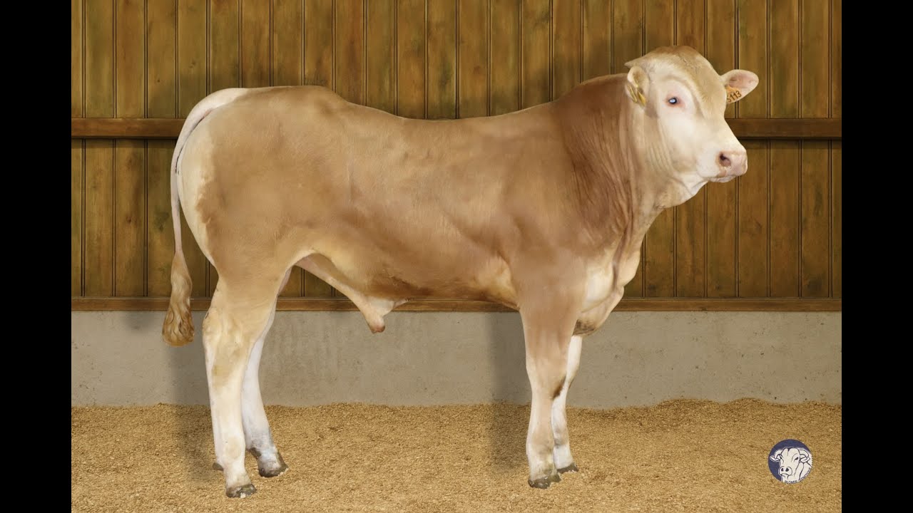 SR 175 - APOLLON - DIF