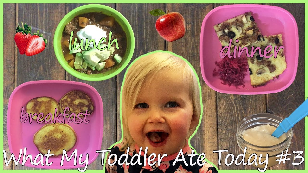 What My PALEO (23 Month Old)Toddler Ate Today #3
