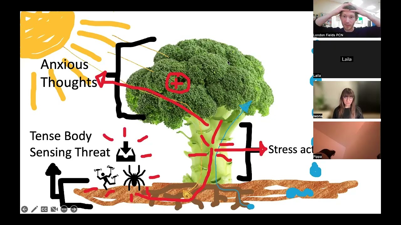 The Relationship Between Pain and Anxiety