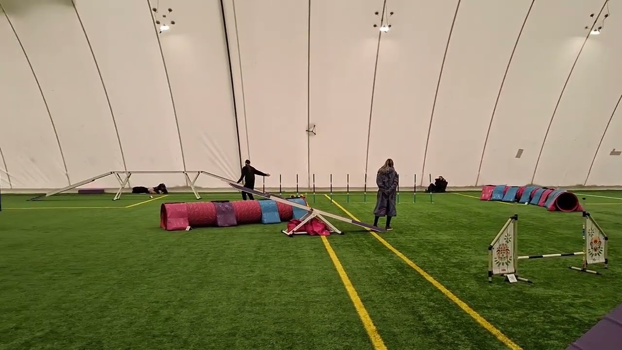 Zawody Agility w Warszawie 21.02.26r. - A3 (DISS)