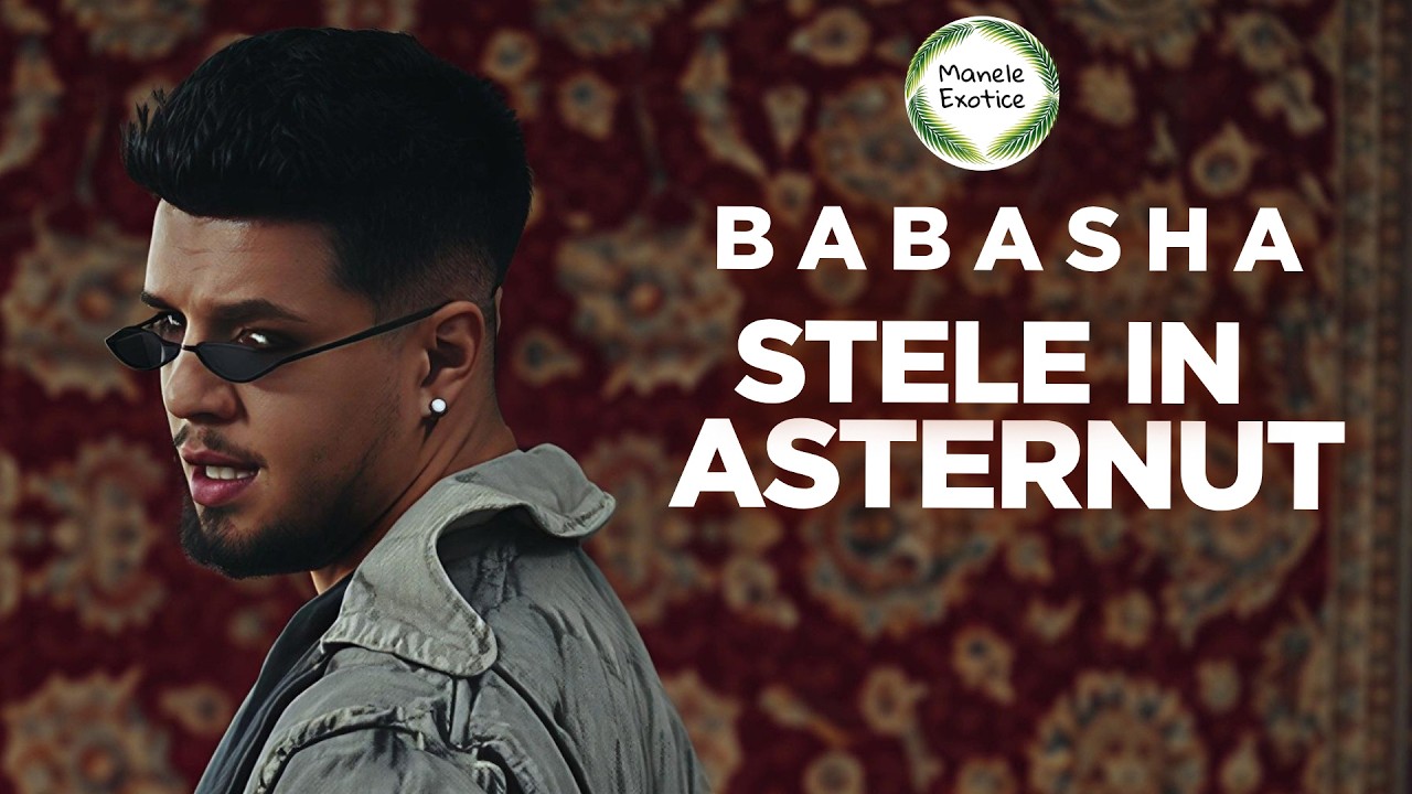 Babasha - Stele in asternut✨ (Manele TikTok)