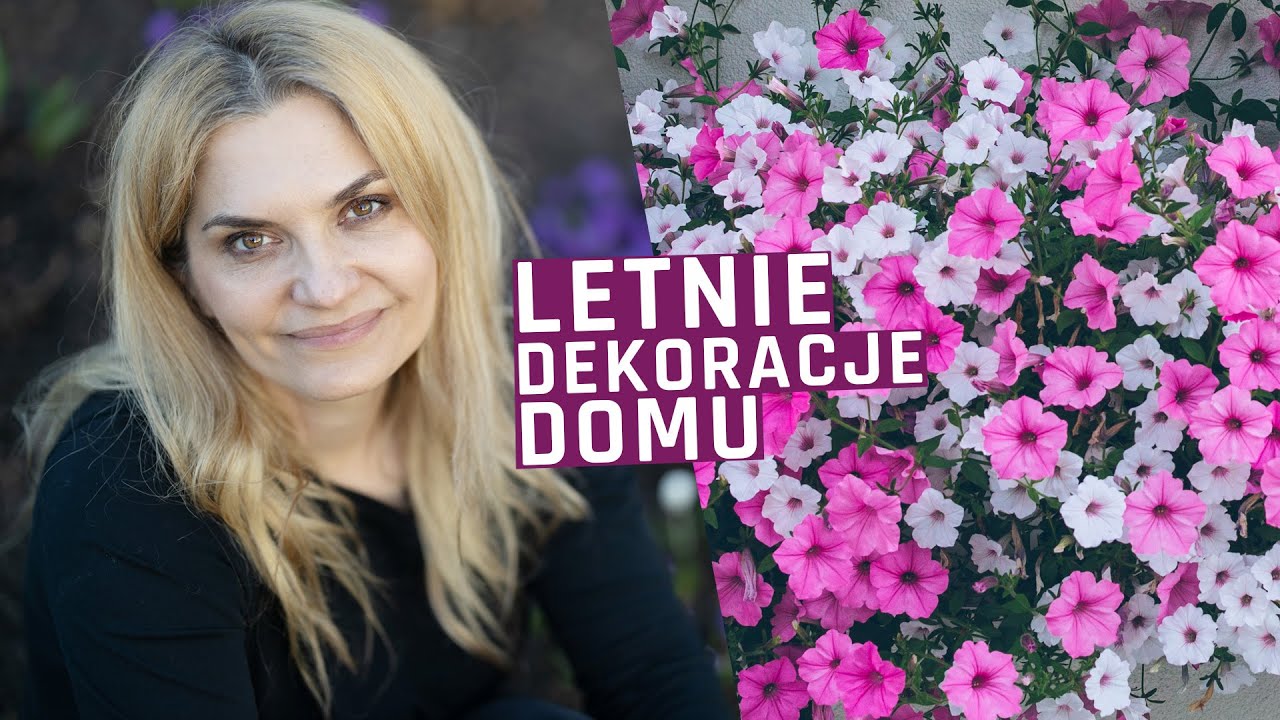 Kwiaty doniczkowe na balkon i taras. Letnie kompozycje do skrzynek i donic.