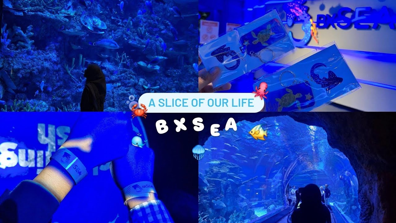 a slice of our life 🐙 ||  mini vlog (bx sea edition) 🐳🫧 