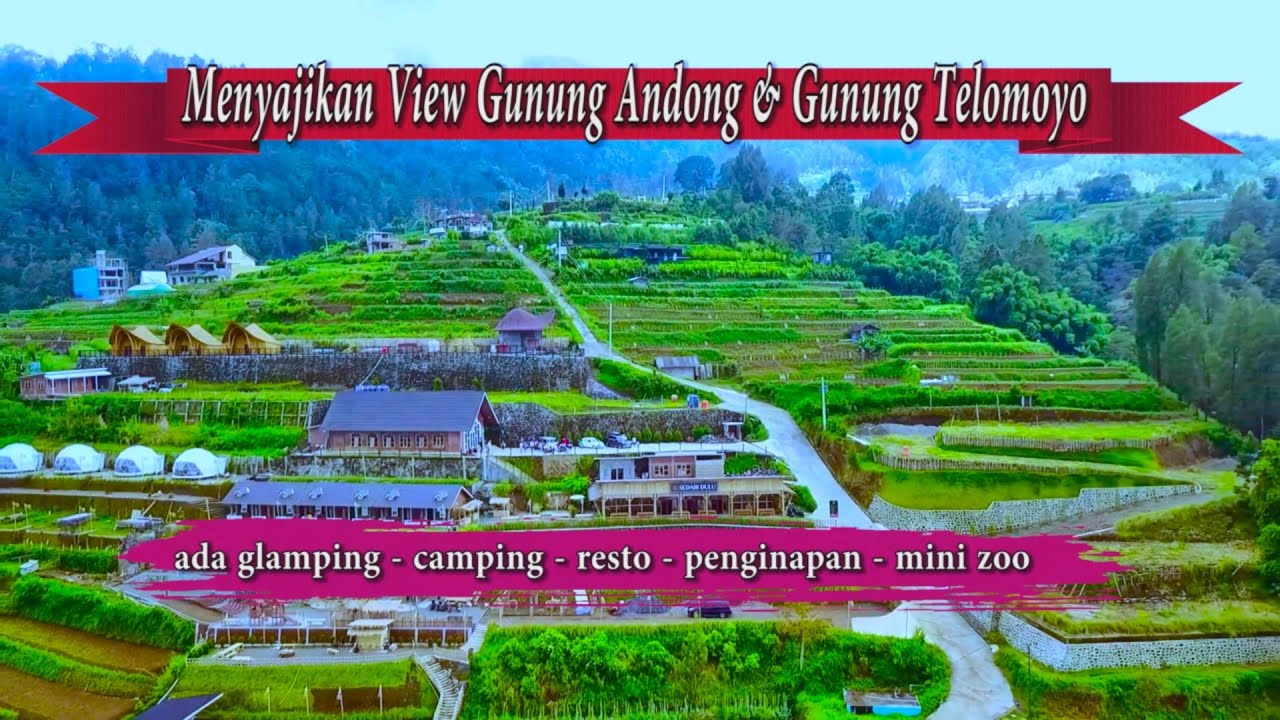 Sedari Dulu Kopeng Glamping Camping & Resto Makanan Jawa Klasik Dengan View Keren