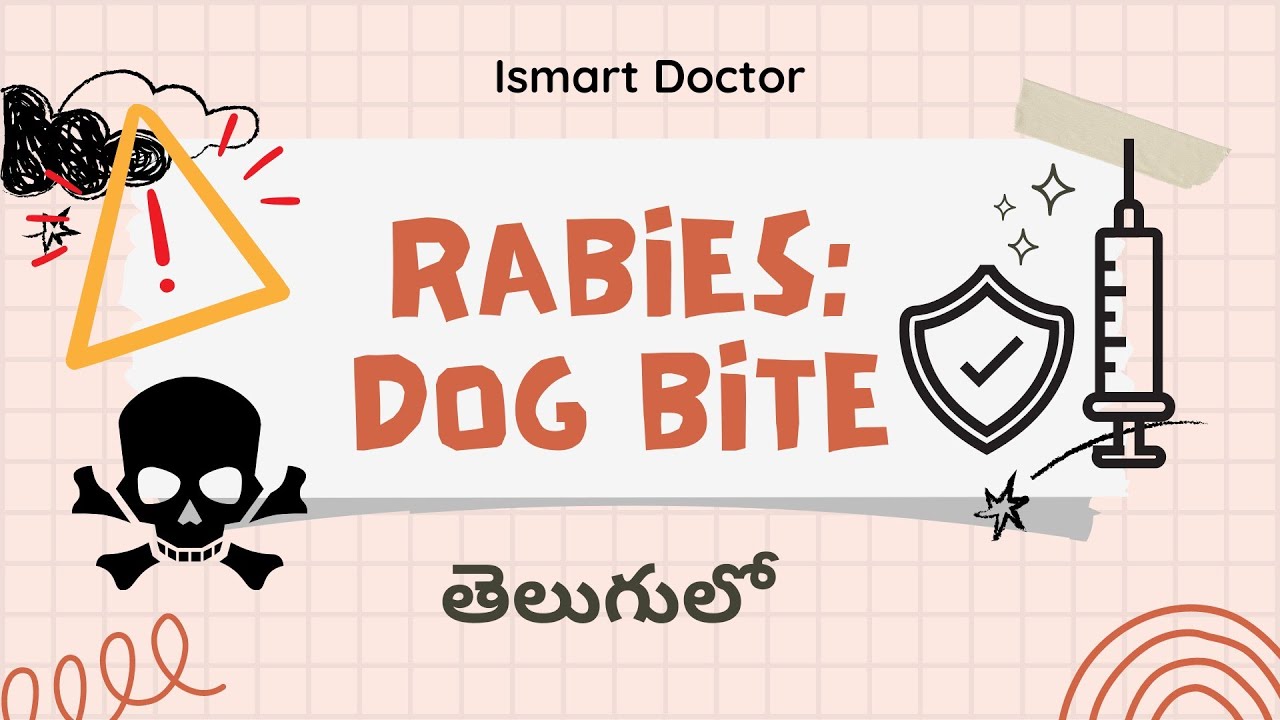 Rabies Virus: Dog Bite in Telugu || Ismart Doctor