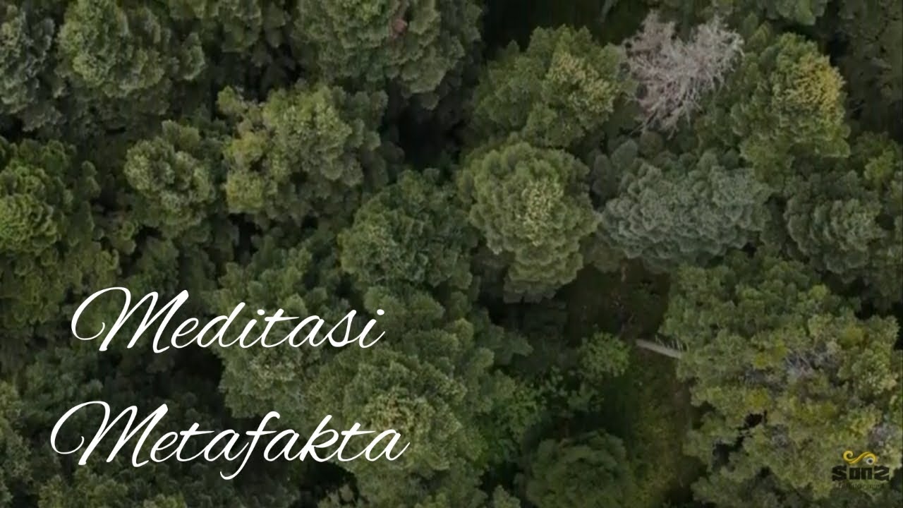 20 Menit Relax Meditasi Metafakta #meditasi #metafakta #relaxasi