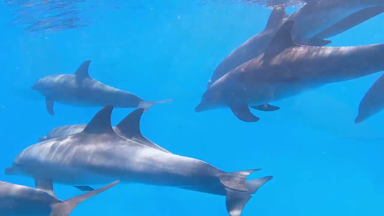 Hurghada-Makadi Bay 2022/10