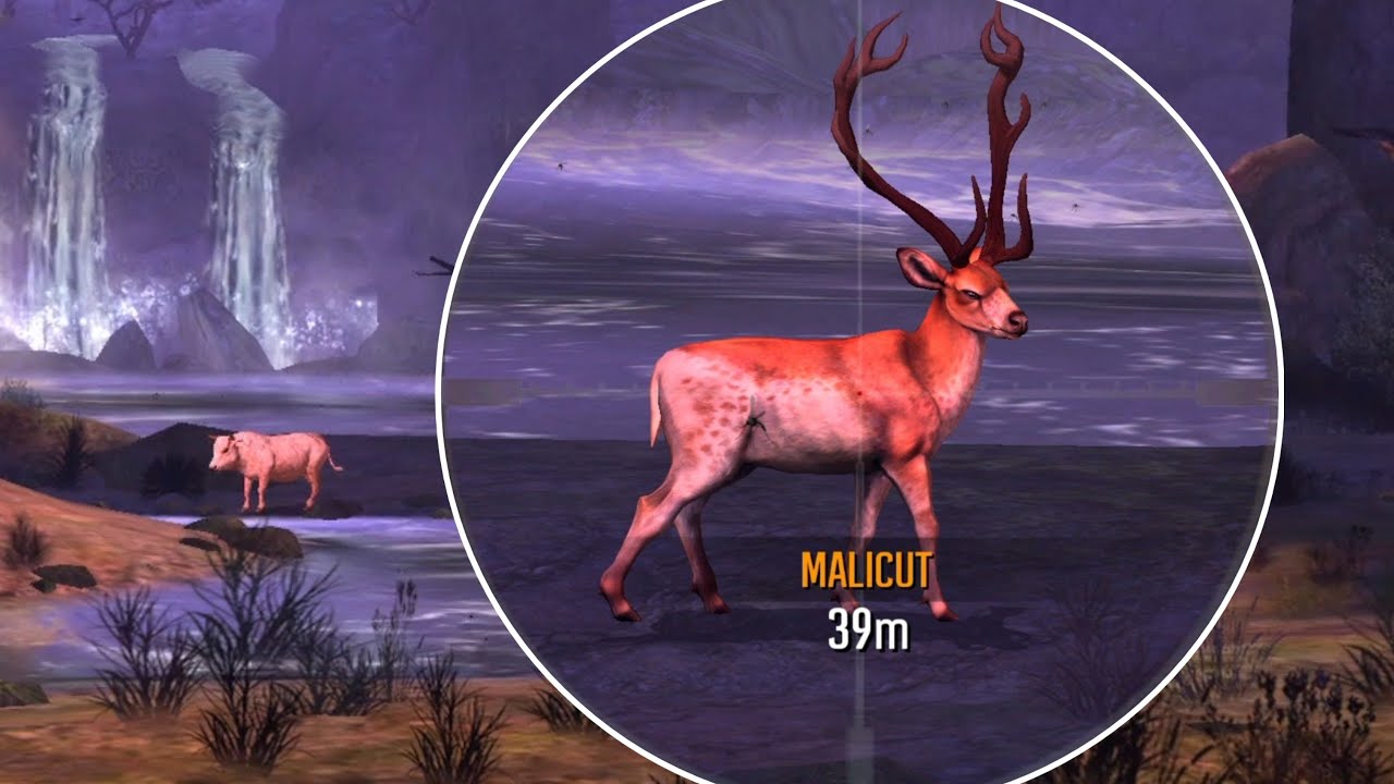 Killing Malicut With A Heart Shot! Deer Hunter 2020 Gameplay Ep97