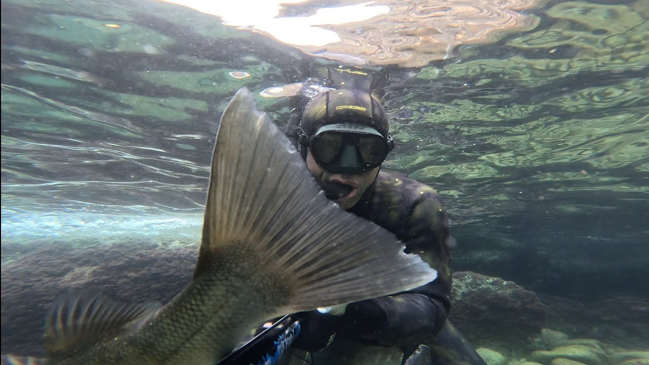 Mükemmel bir Levrek avı 🐟  Huzur dolu Gökçeada🏝  kuru domates salatası🥗