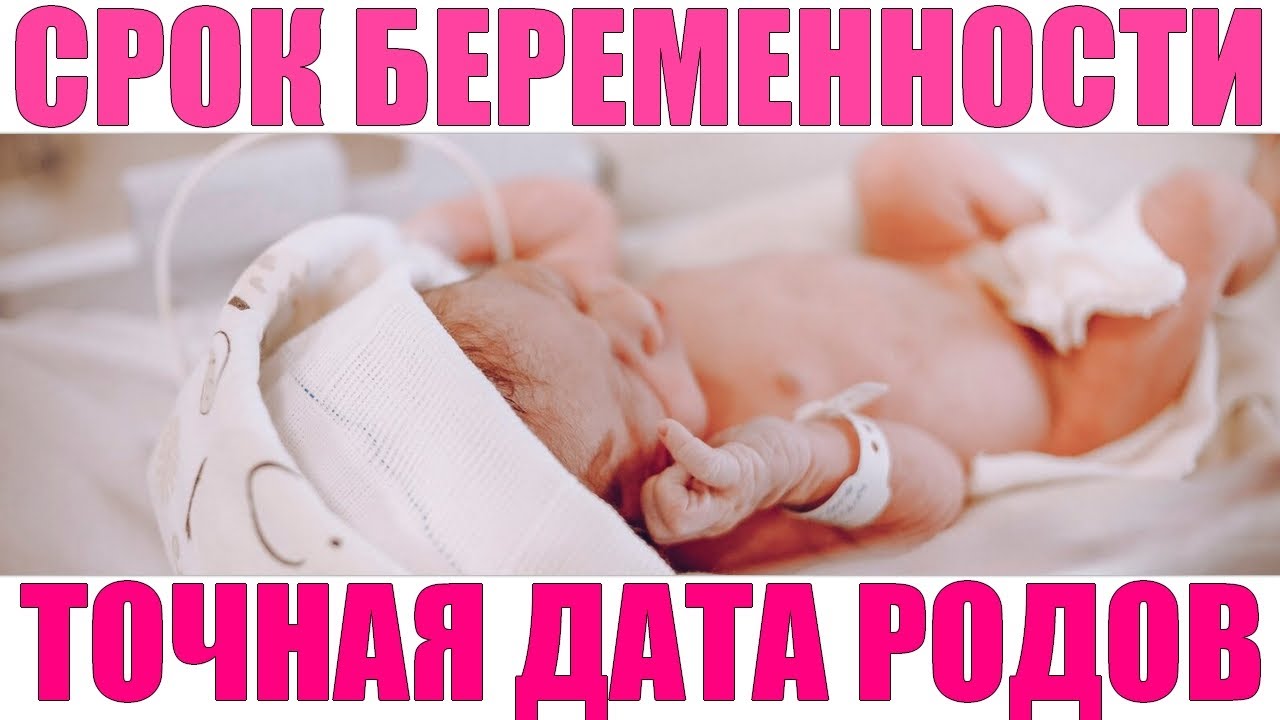СЧИТАЕМ ПРАВИЛЬНО СРОК БЕРЕМЕННОСТИ | Сколько месяцев в беременности и сколько это недель