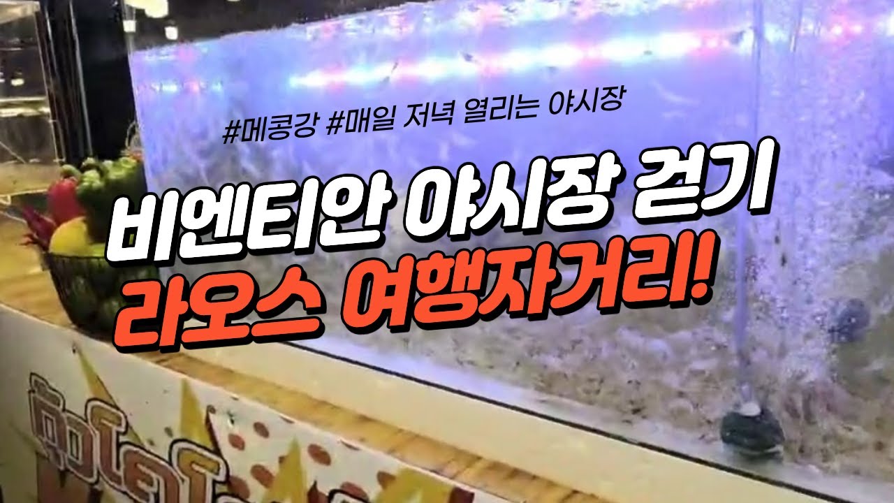 라오스 비엔티안 야시장 걷기 & 여행자거리 투어 #비엔티안 #라오스 #여행 #해외여행