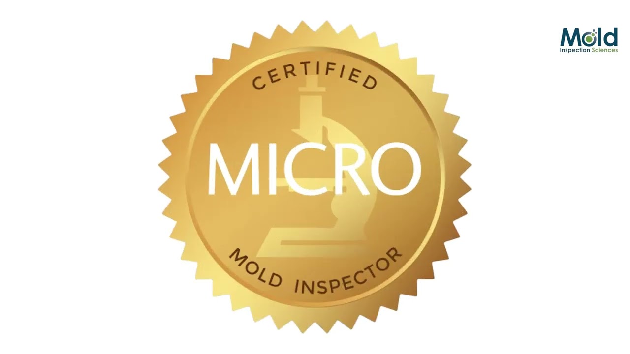 What kind of certification or licensing do mold inspectors need?