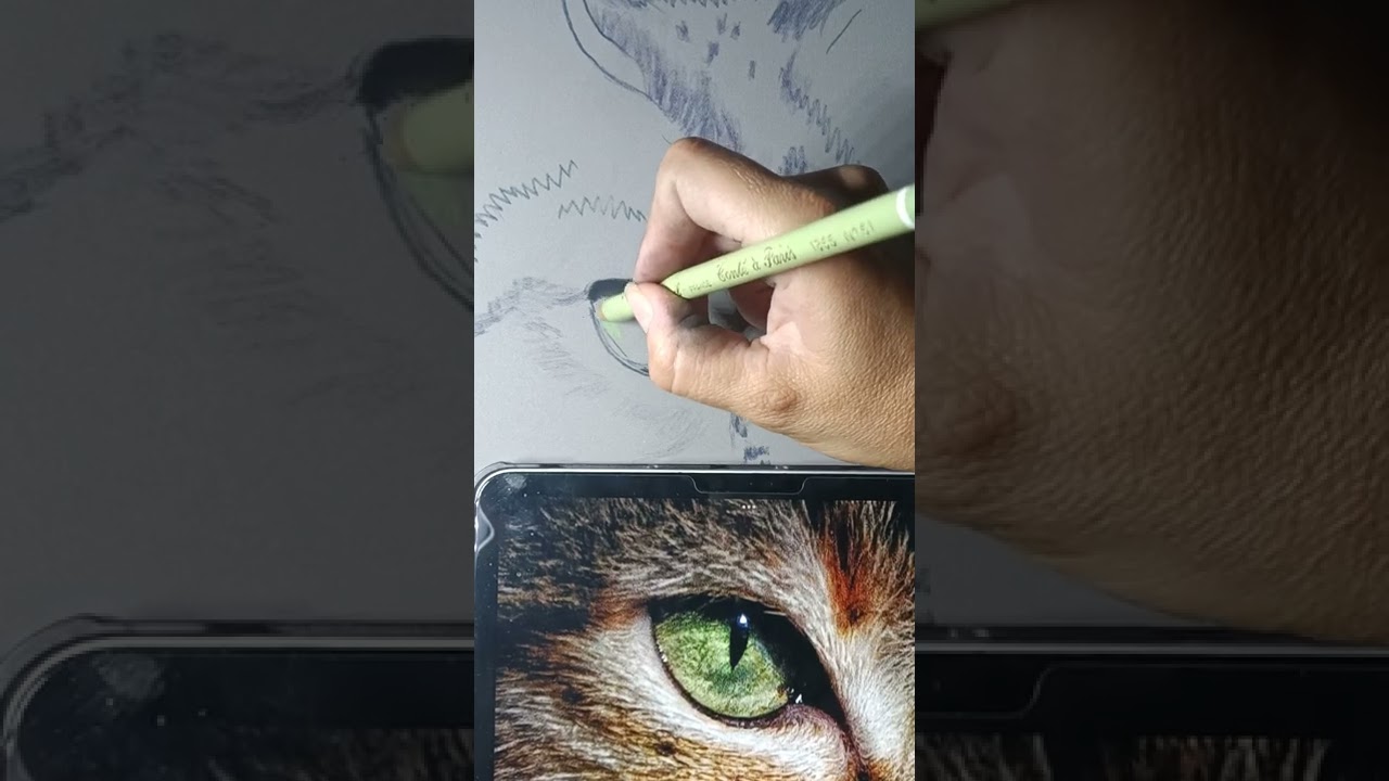 Cannelle comment faire un oeil de chat