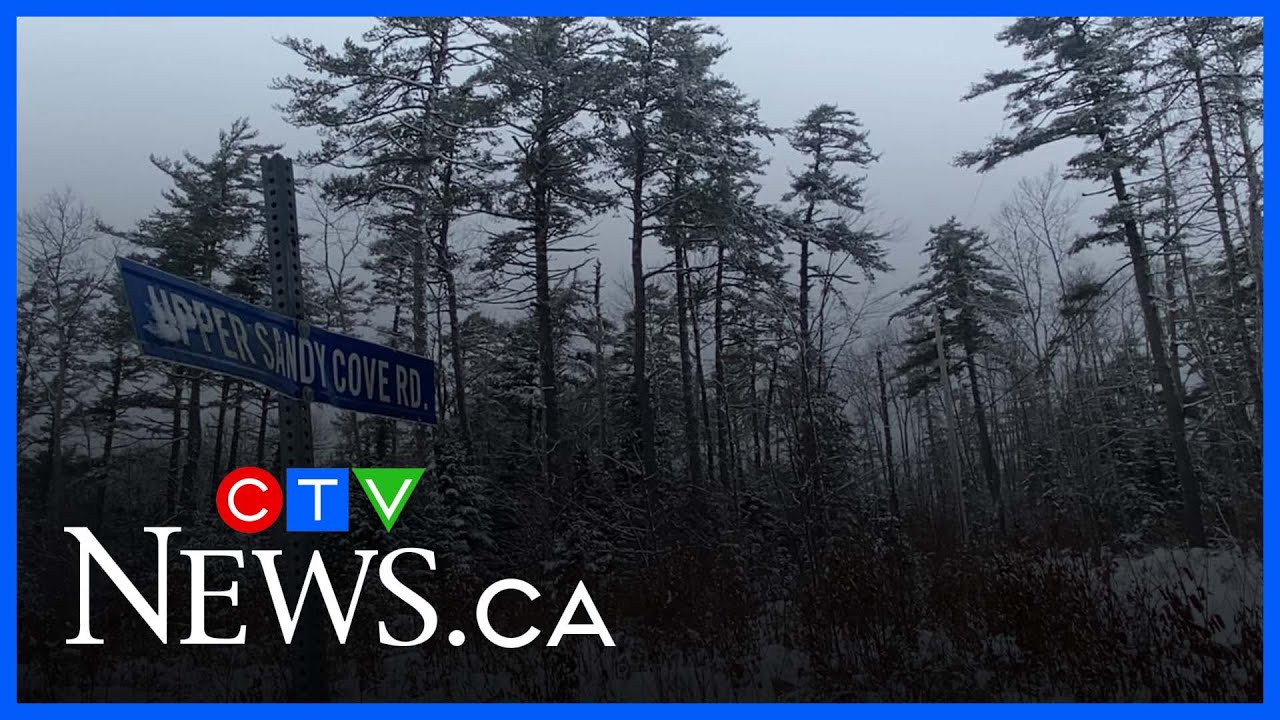 13-year-old N.S. boy dies after being attacked by three dogs