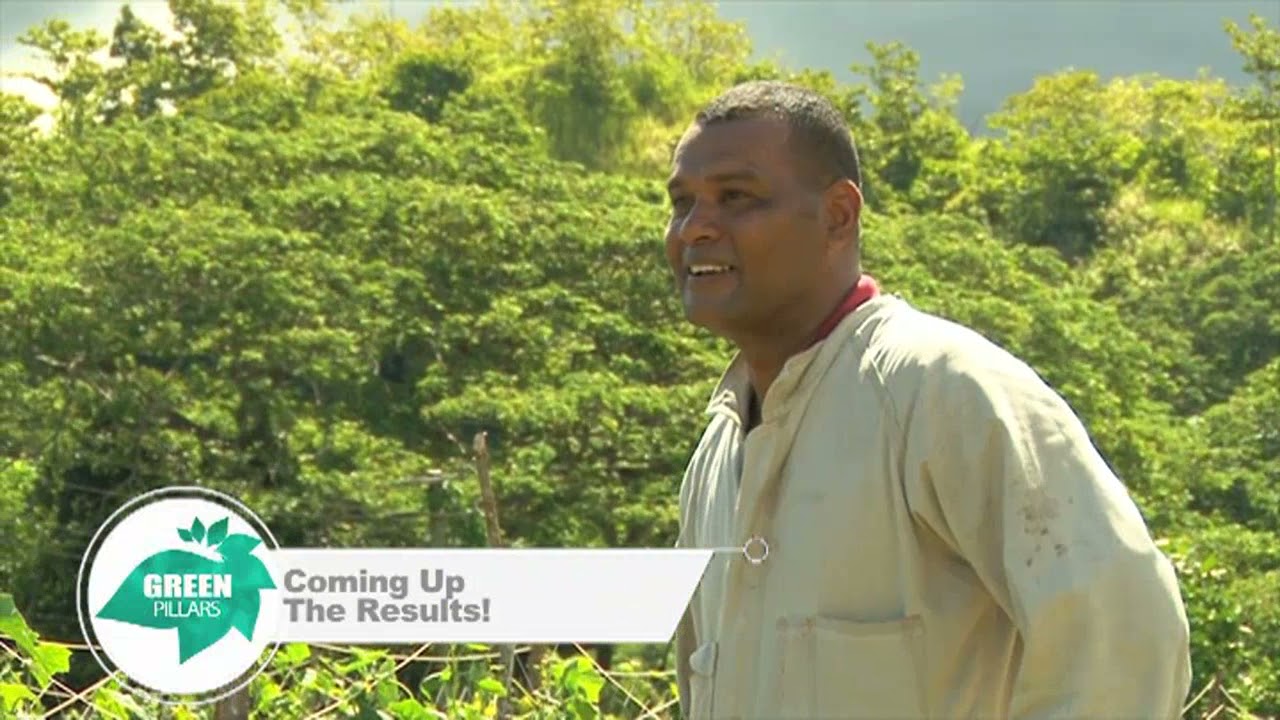 GREEN PILLARS | Season 2 | Episode 11 | Nabitu Demo Plot