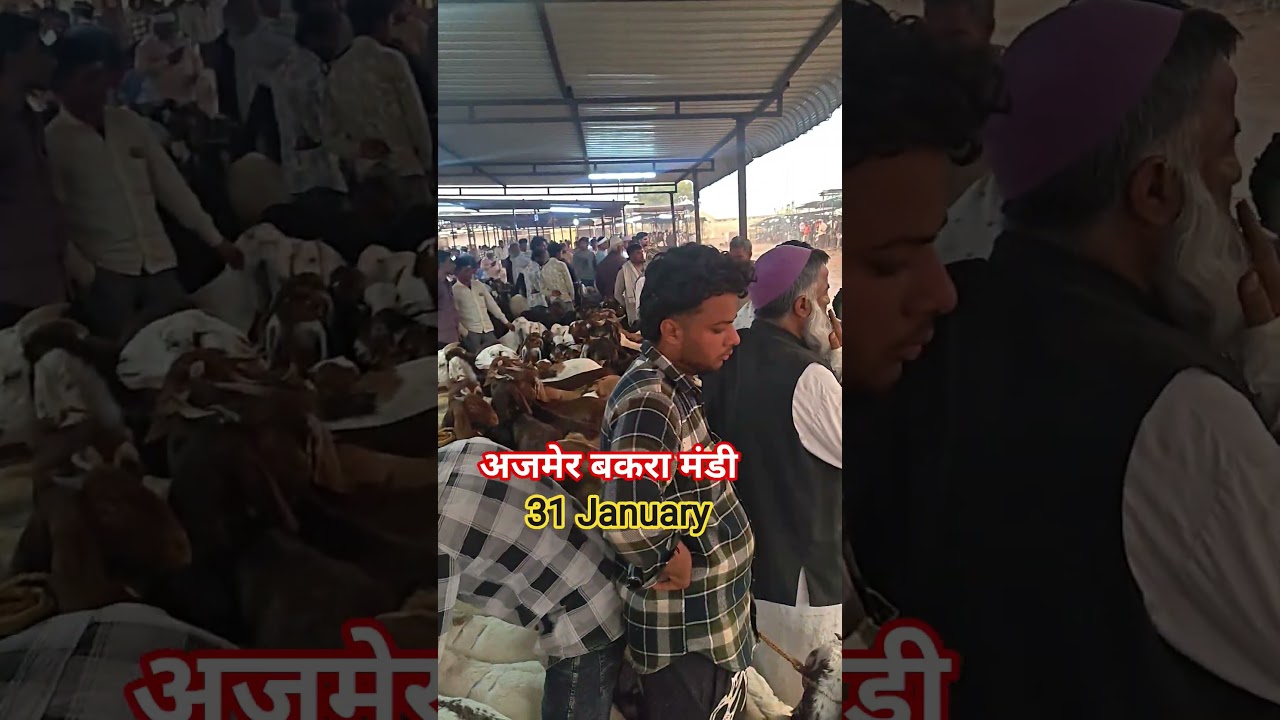 #ajmer