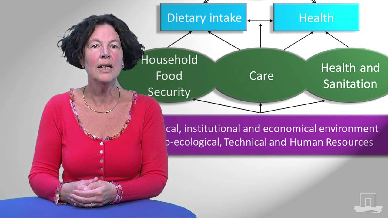 The UNICEF Framework for nutrition security