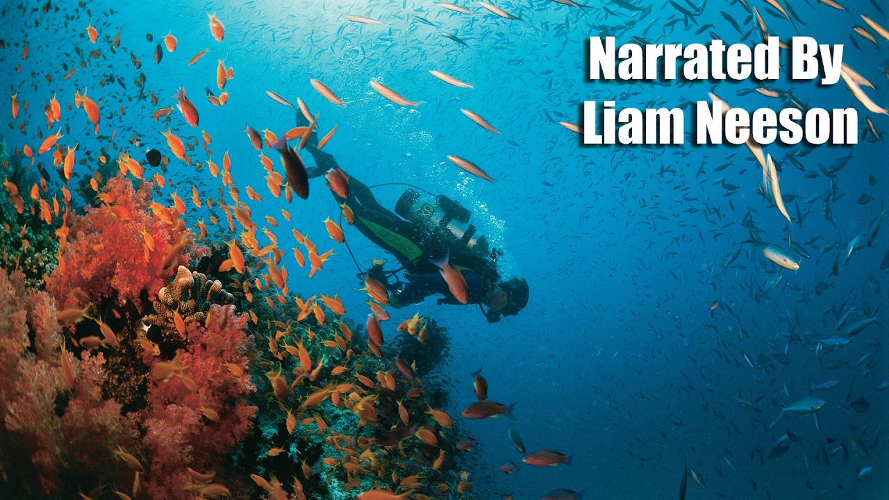Liam Neeson Narrates CORAL REEF ADVENTURE | IMAX | Deep Sea Diving the South Pacific | CS&N Music
