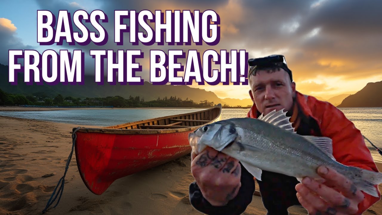 Bass Fishing UK: Beach Fishing Produces Incredible Bass Fishing Trip!