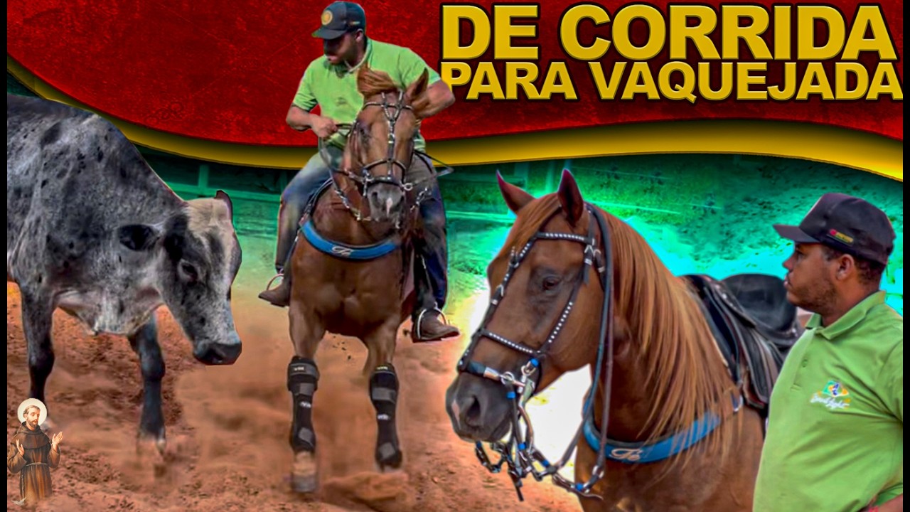 💥 A Transformação do Cavalo Dourado | Velocidade x Vaquejada