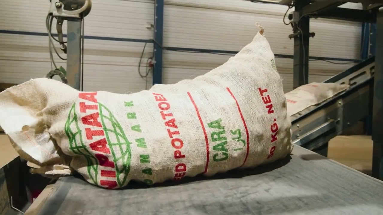 Potato Packaging Line in Denmark – Efficient Operation with Line Control