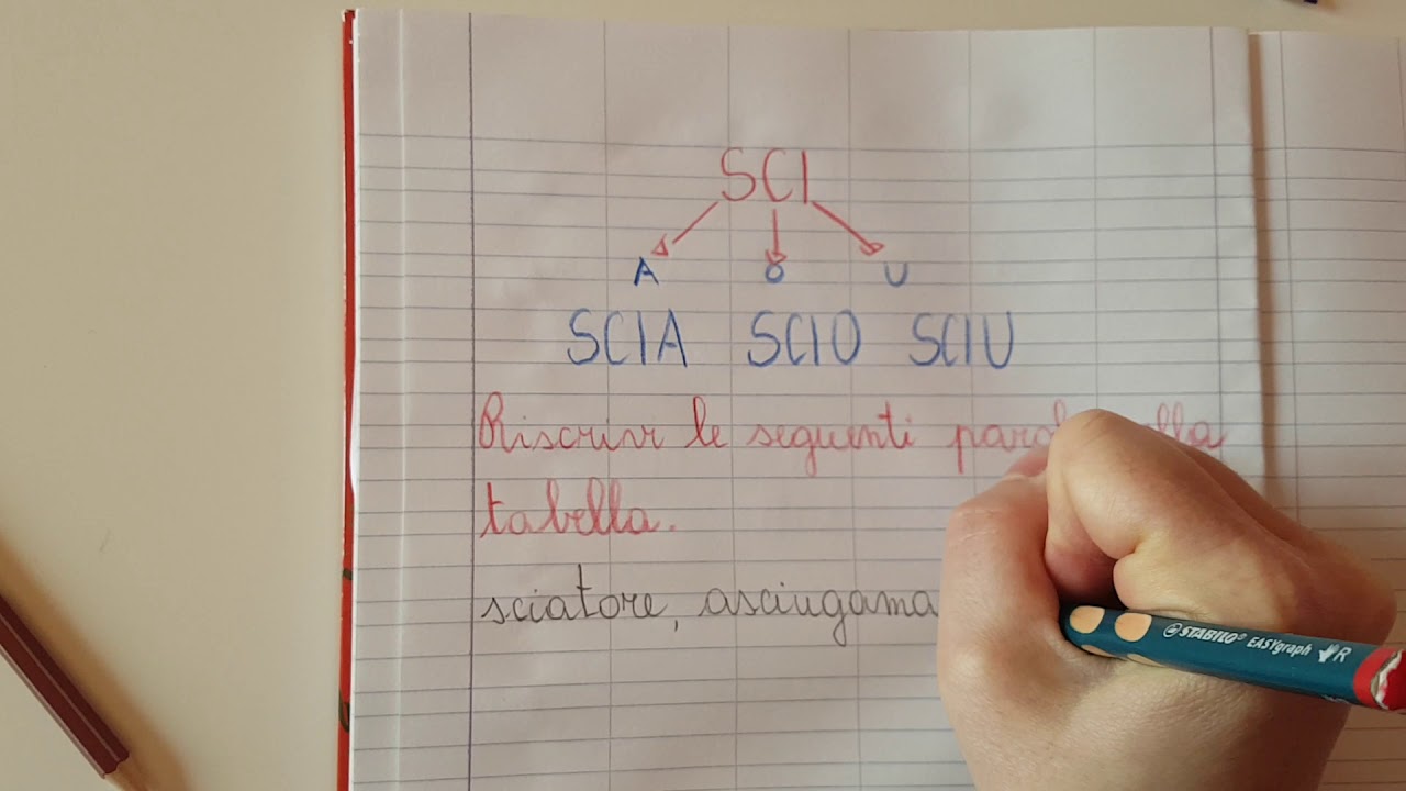 SCE-SCI-SCIA-SCIO-SCIU -Maestra Silvana