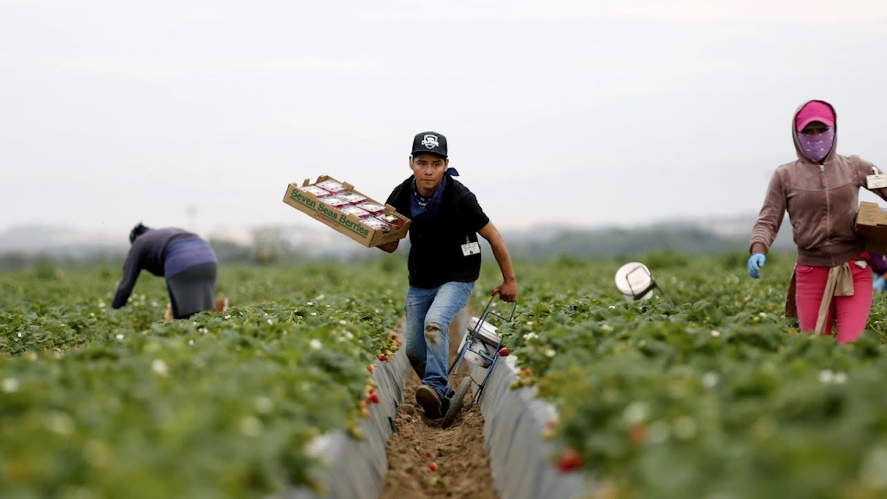 Celebrating California Farm Workers and Agriculture