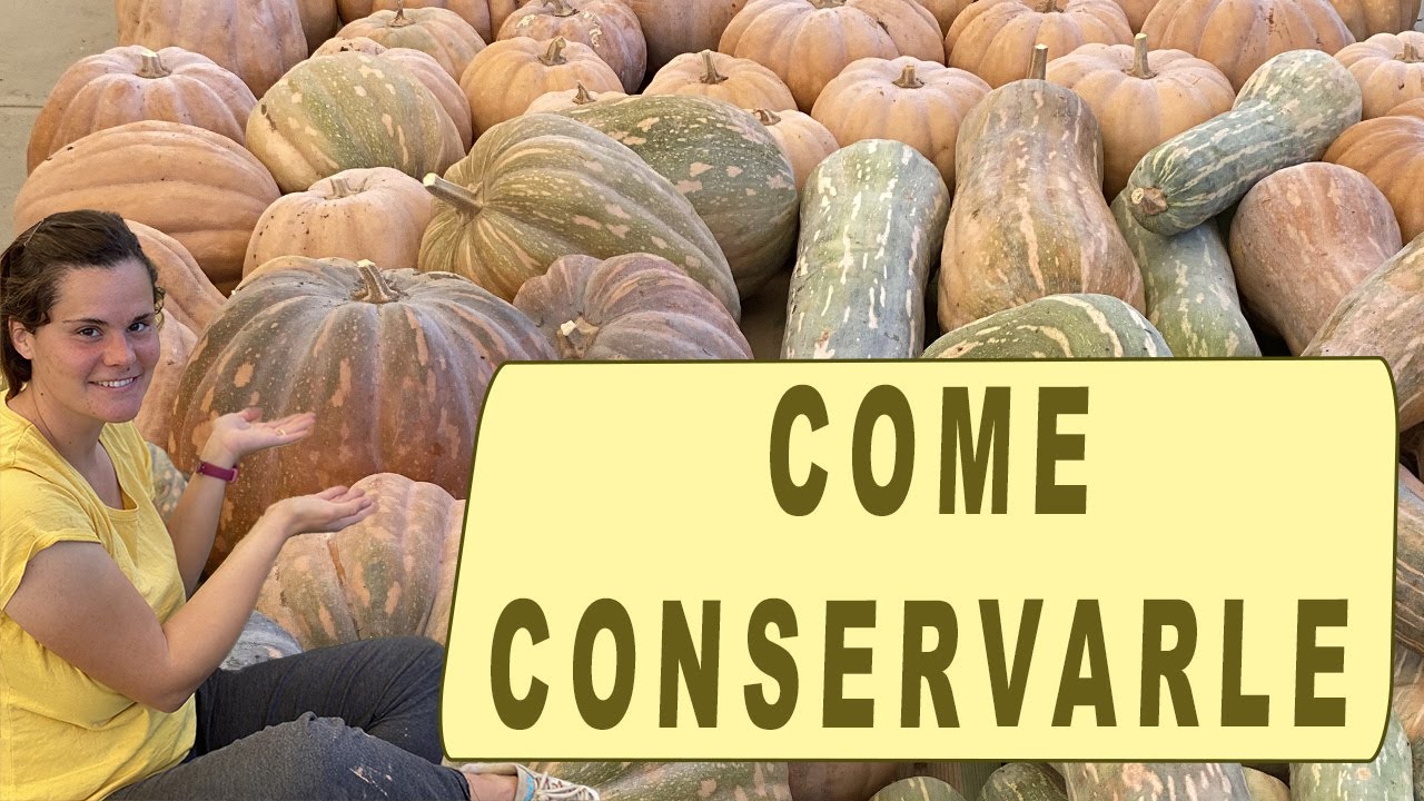 COME CONSERVARE LE ZUCCHE