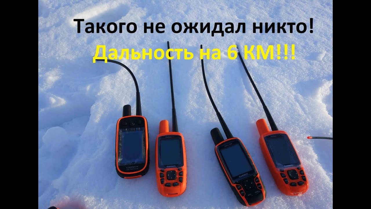 Тест на дальность Garmin Astro 430 / Astro 320 / Alpha 50 / Alpha 100