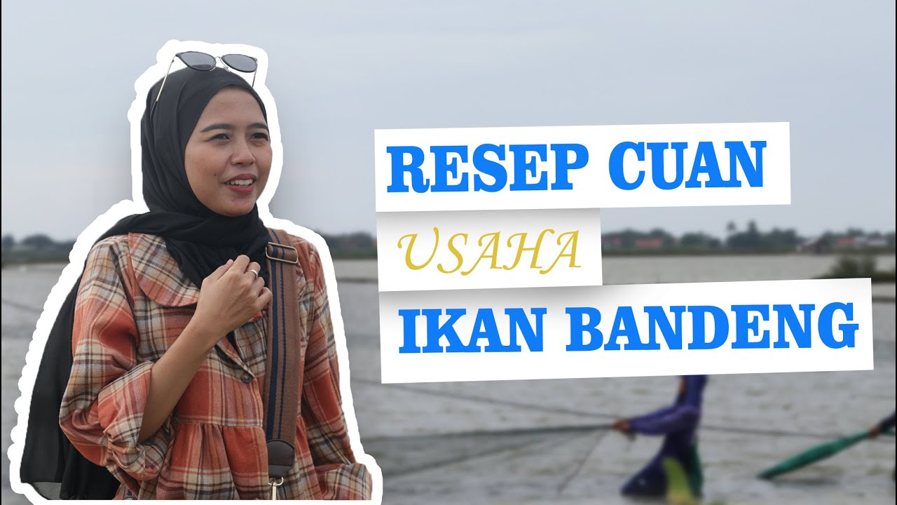 Resep Cuan Usaha Ikan Bandeng