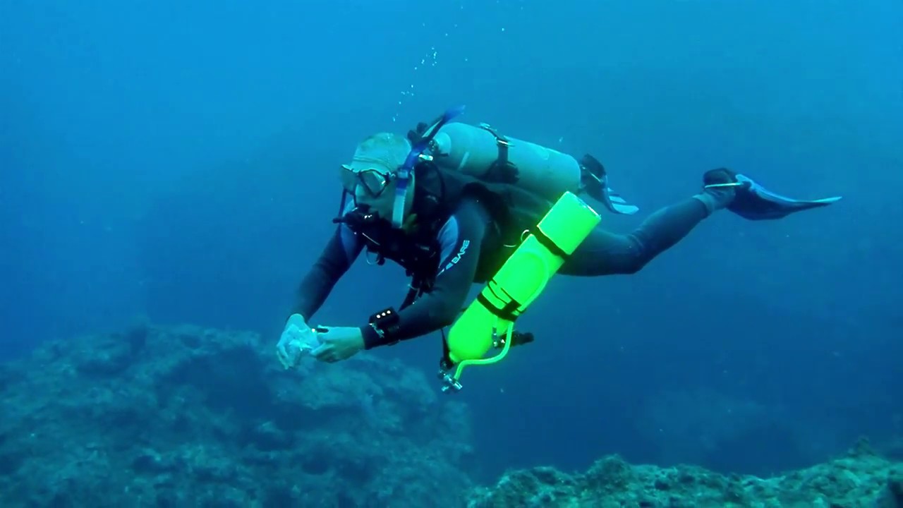 Deep Dive Training at the 