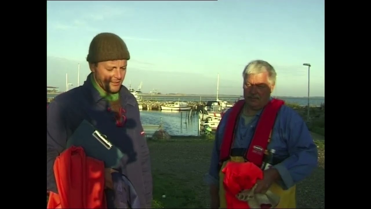Miljøundersøgelse af Odense Fjord