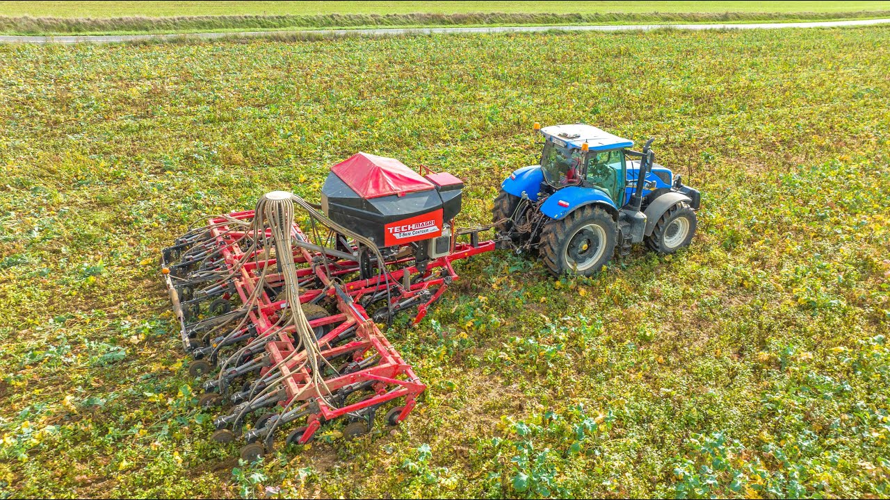 SEMIS DIRECT DE BLÉ SOUS COUVERT | SD TECHMAGRI T-Sem Contour
