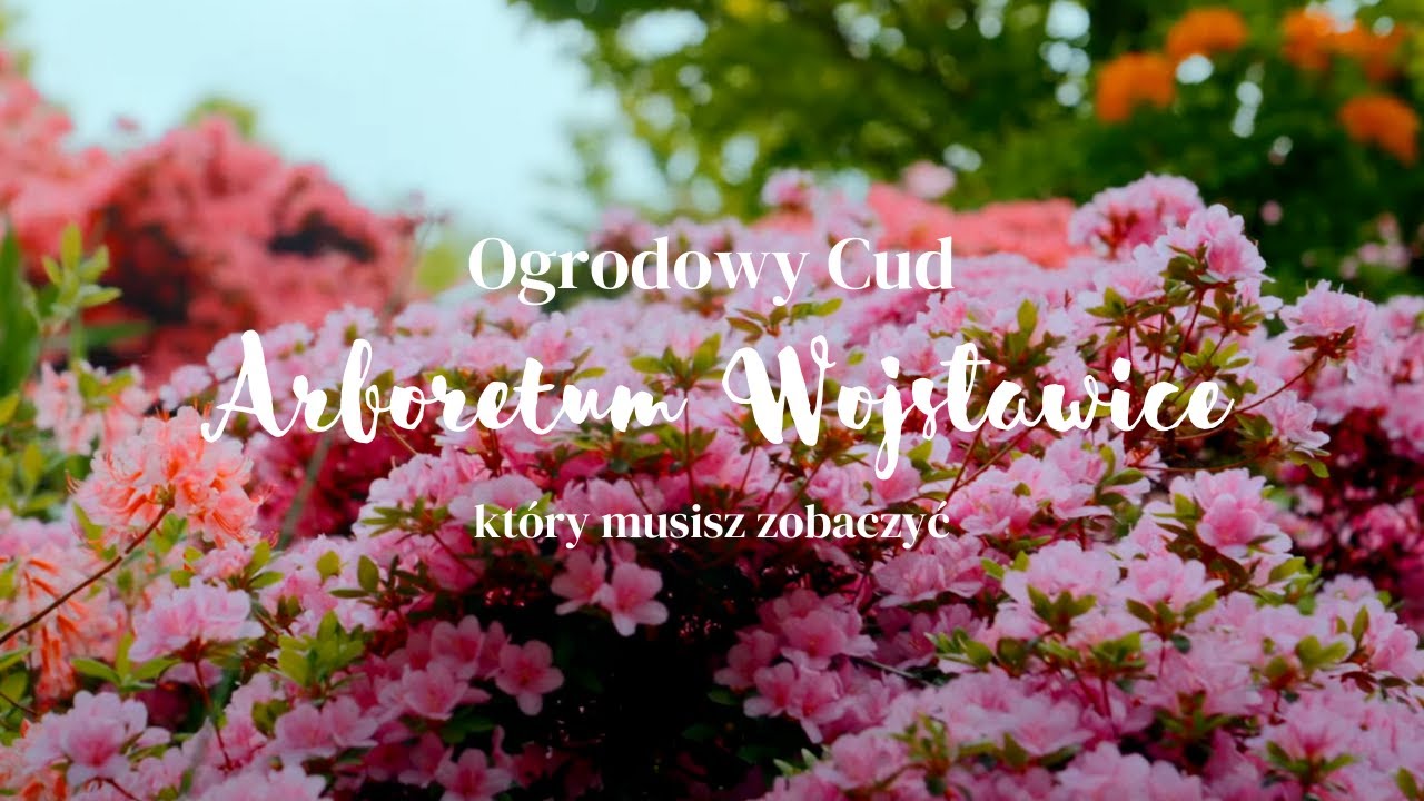 Arboretum Wojsławice &ndash; Ogrodowy cud, kt&oacute;ry musisz zobaczyć