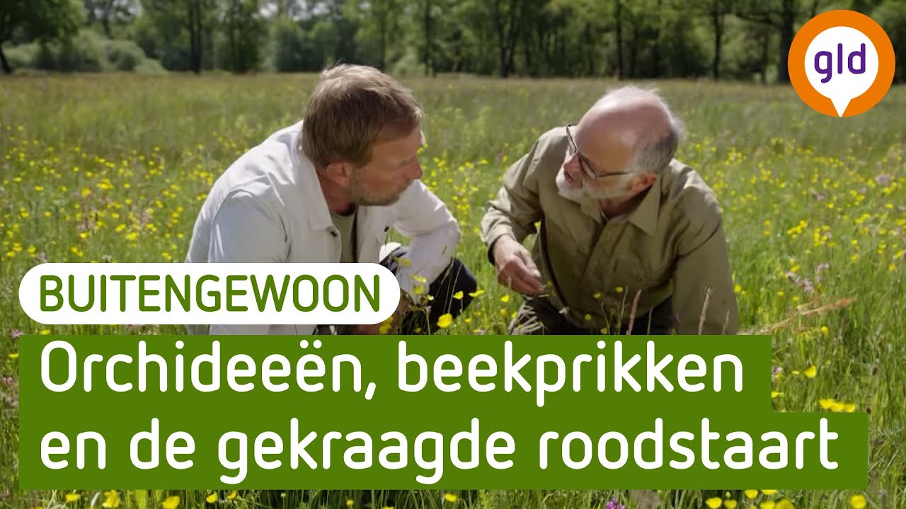 BuitenGewoon - Vier seizoenen in de natuur - Lente en zomer