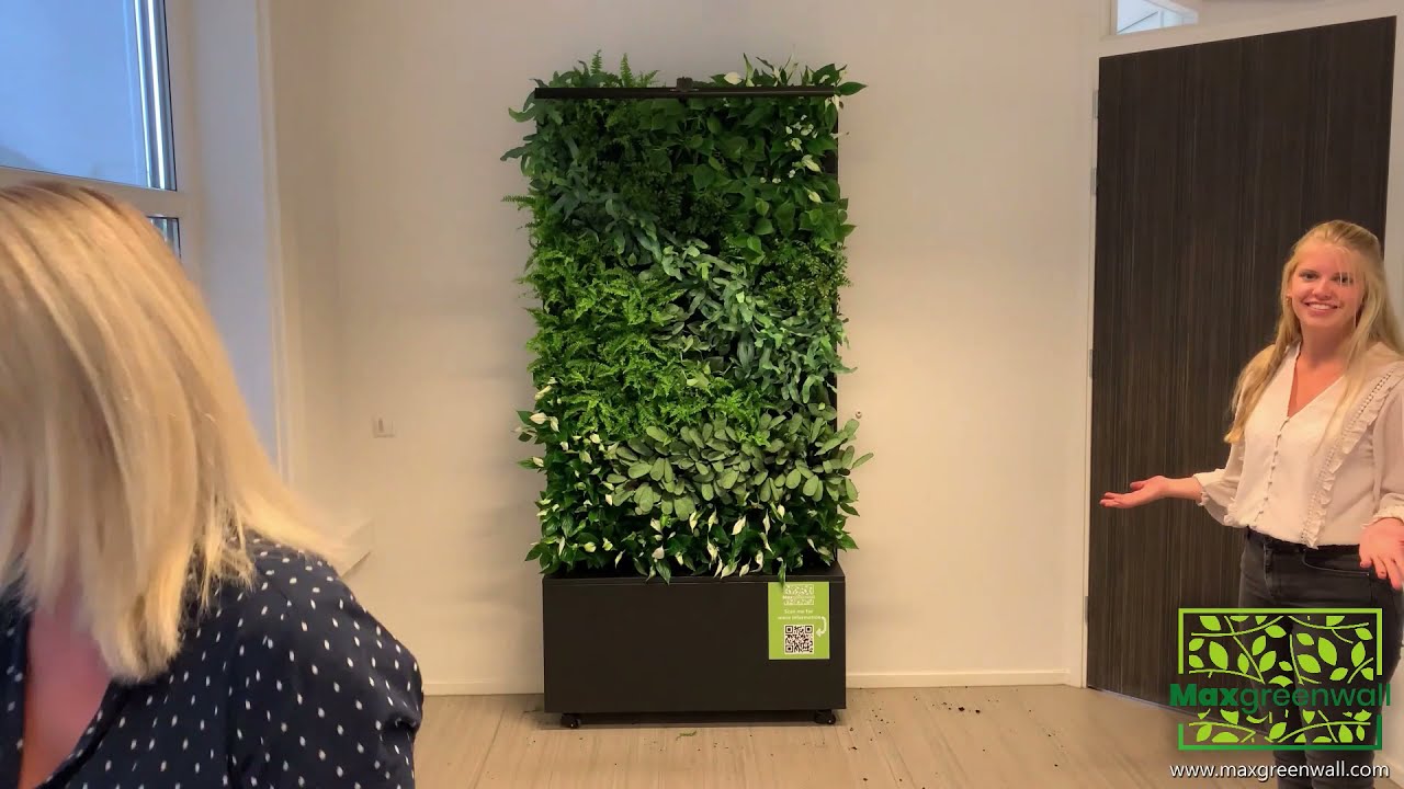 Installatie Maxgreenwall