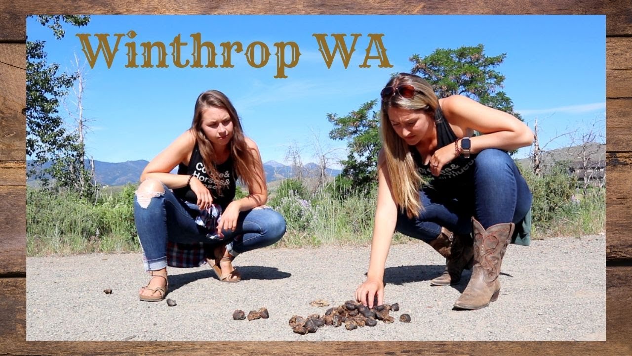 Horse Girls on Vacation 😂 | Equestrian Comedy