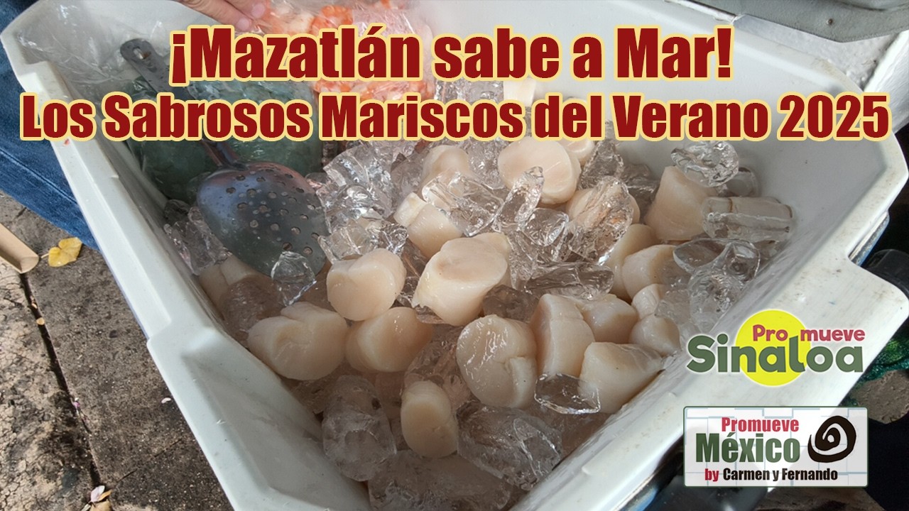¡No Vas a Resistirte! 🦐 Así Se Come en Mazatlán en Vacaciones