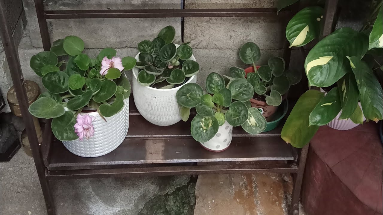 De basura a mueble reciclado 🪴🪴🩷💓