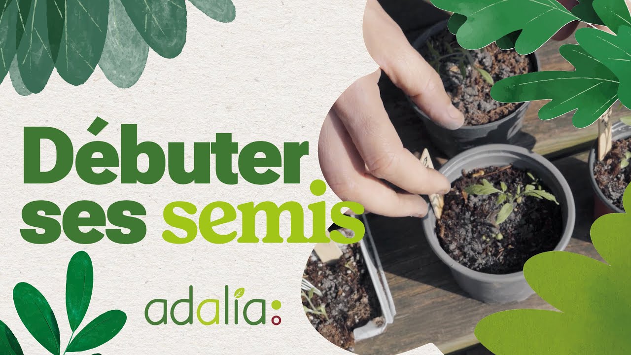 Comment bien débuter ses semis au potager ? 🌱