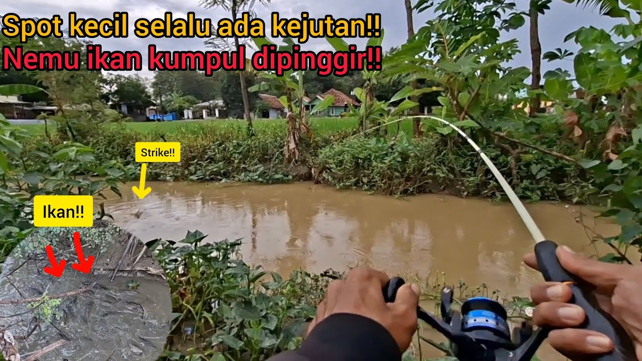Lagi mancing ketemu segerombolan ikan banyak banget ‼️
