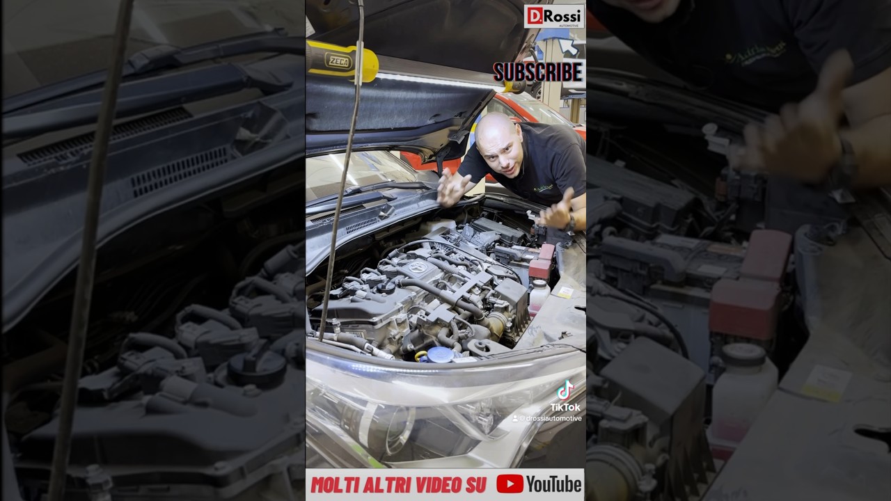 Auto ibrida o elettrica non va più cosa  può essere ? 
