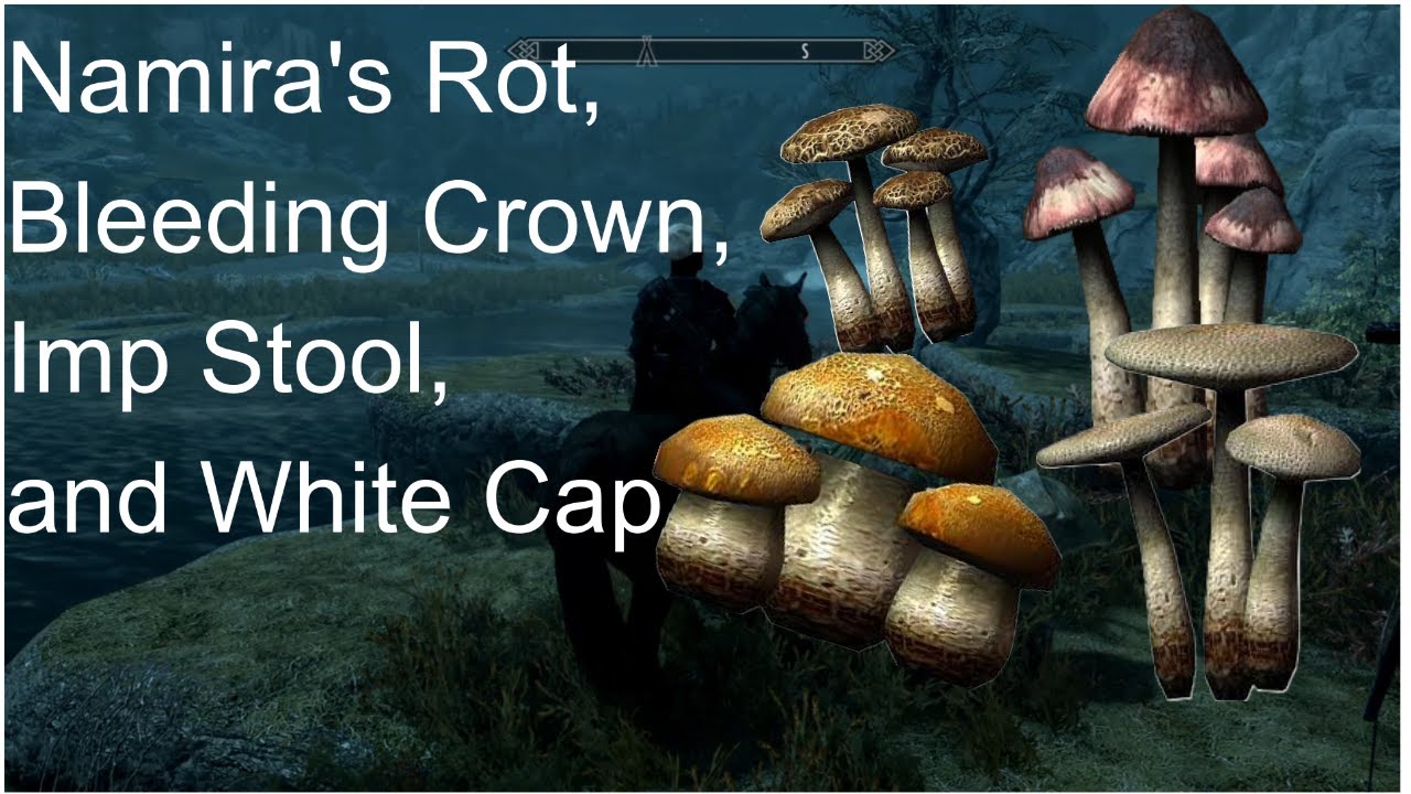 This CAVE Has all the mushrooms you could ever need[Skyrim guide]