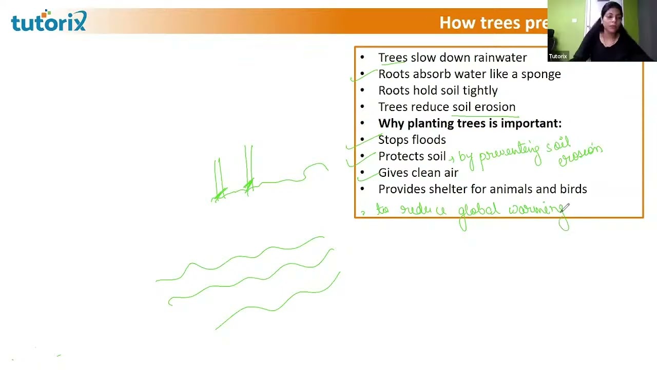🔴 LIVE NOW: Deforestation Explained for Class 5 CBSE | Science Chapter Made Easy