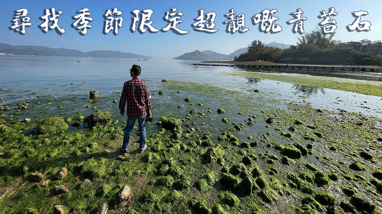【香港攝影好去處 】馬鞍山。泥涌青苔 丨Nai Chung beach | 鯉魚門三家村海藻 | 路線介紹