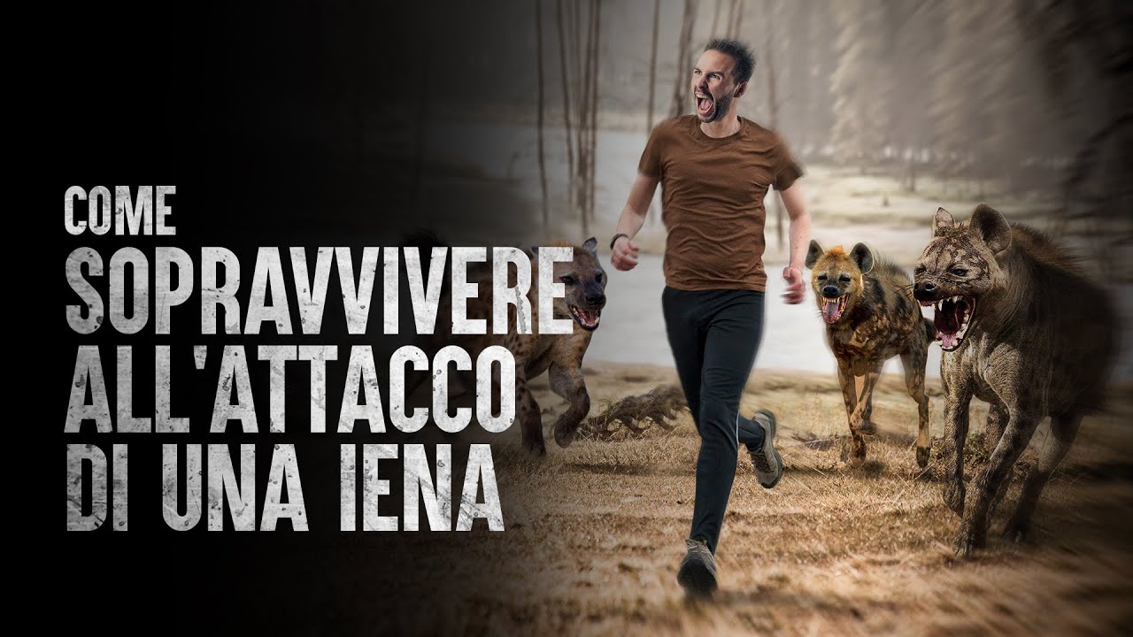 Come sopravvivere all'attacco di una iena
